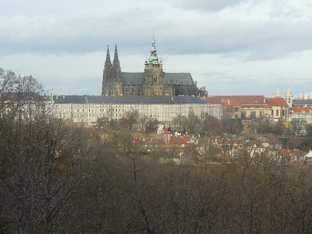 P1020422(1).JPG