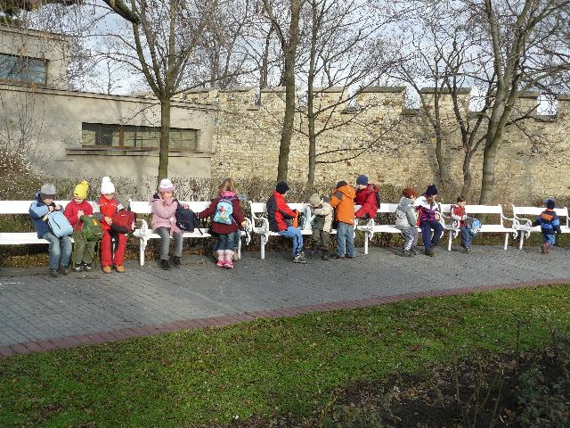 P1020423(1).JPG
