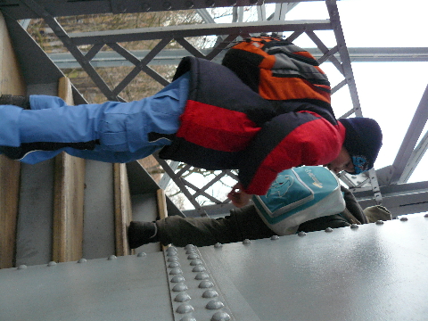 P1020440(1).JPG